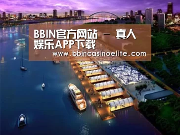案例展示八