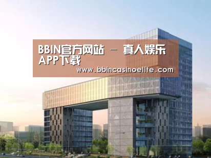 案例展示四