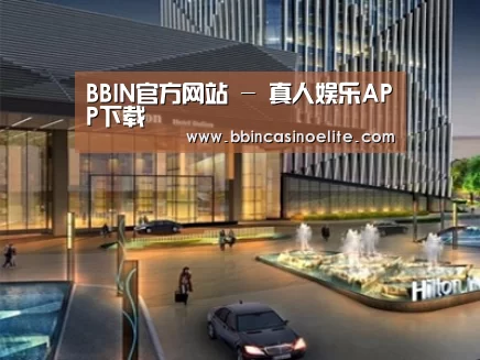 案例展示二