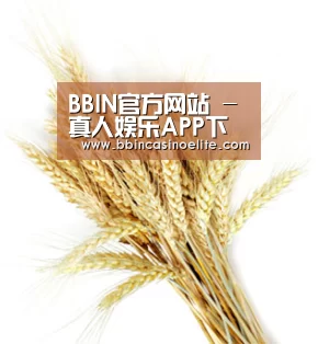 BBIN官方网站 - 真人娱乐APP下载