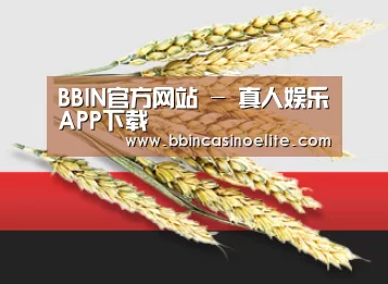 BBIN官方网站 - 真人娱乐APP下载