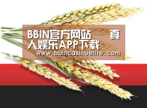 BBIN官方网站 - 真人娱乐APP下载