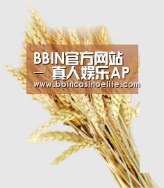 BBIN官方网站 - 真人娱乐APP下载
