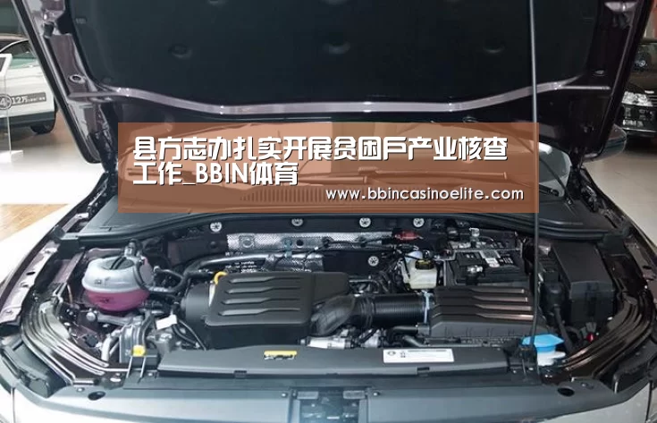 县方志办扎实开展贫困户产业核查工作_BBIN体育(图4) BBIN电子