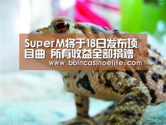 SuperM将于18日发布项目曲 所有收益全部捐赠‘BBIN电子’(图1) BBIN电子