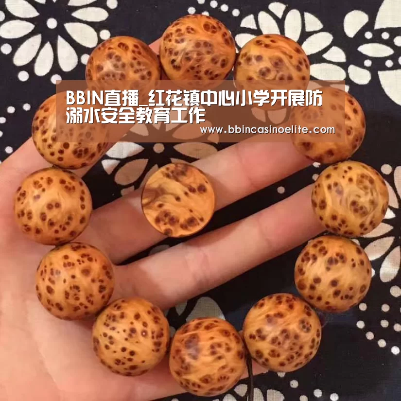 BBIN体育
