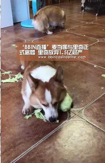 ‘BBIN直播’麦当娜与里奇正式离婚 里奇放弃1.5亿财产(图2) BBIN电子
