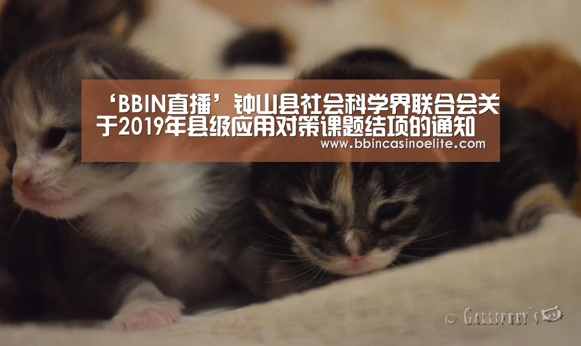 ‘BBIN直播’钟山县社会科学界联合会关于2019年县级应用对策课题结项的通知(图2) BBIN体育