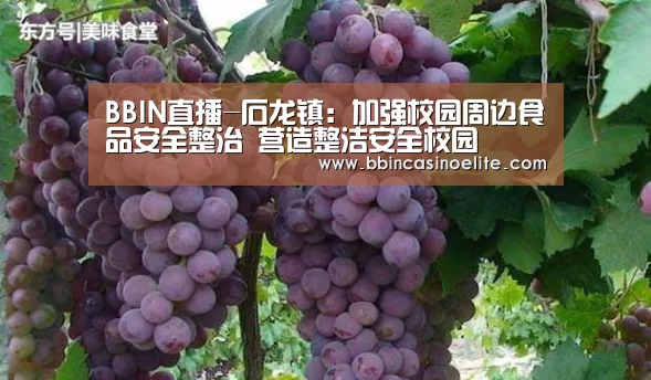 BBIN直播-石龙镇:加强校园周边食品安全整治 营造整洁安全校园(图1) BBIN电子