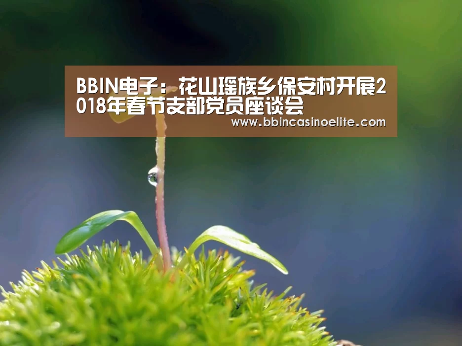 BBIN体育