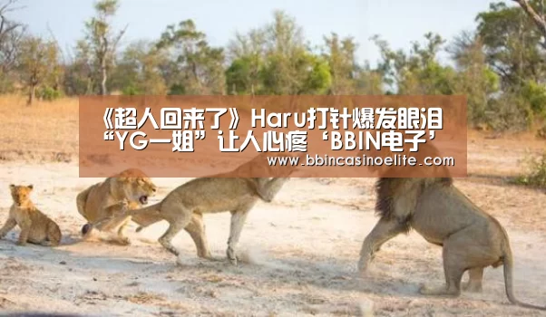 《超人回来了》Haru打针爆发眼泪 “YG一姐”让人心疼‘BBIN电子’(图1) BBIN体育