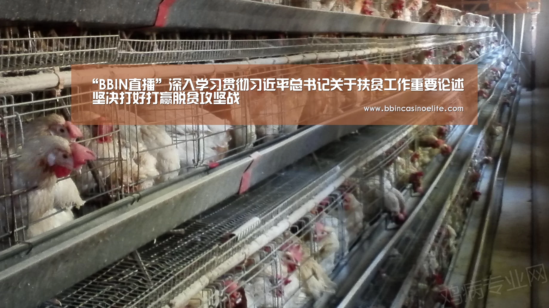 “BBIN直播”深入学习贯彻习近平总书记关于扶贫工作重要论述 坚决打好打赢脱贫攻坚战(图1) BBIN电子