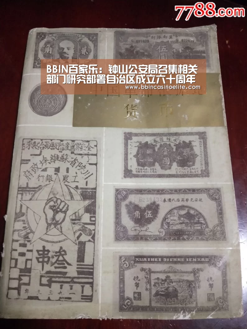 BBIN体育